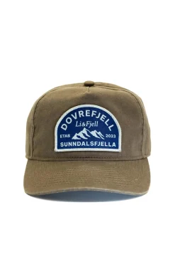 Dovrefjell-Sunndalsfjella Caps Gråbrun