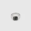 Kay Ring Larvikite