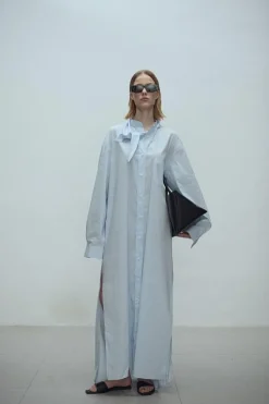 Kaz Shirt Dress Blue