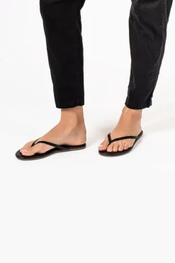 Lily Liners Sable