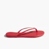 Lily Solids Red