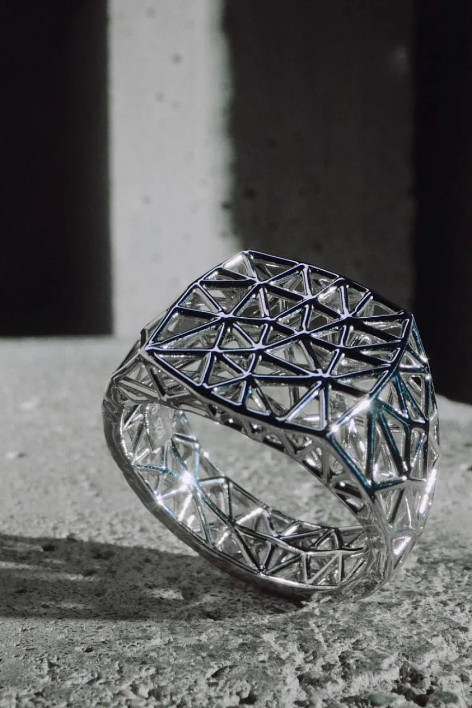 Mesh Ring M Silver