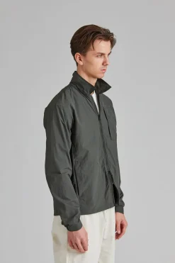Motion Dark Olive