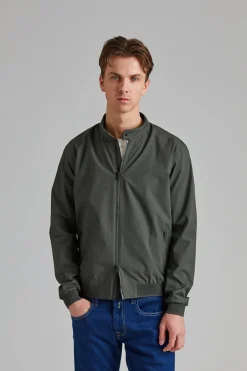 Plain Dark Olive