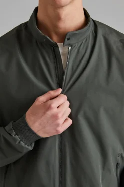 Plain Dark Olive