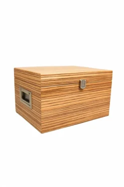 Shoebox Zebra