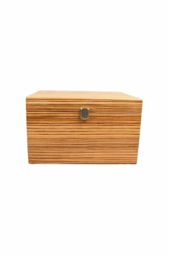 Shoebox Zebra