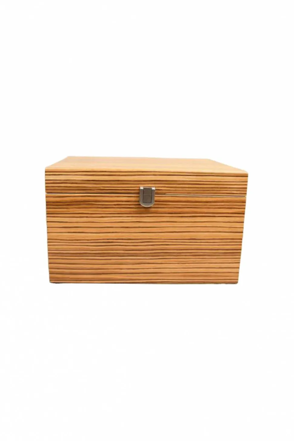 Shoebox Zebra