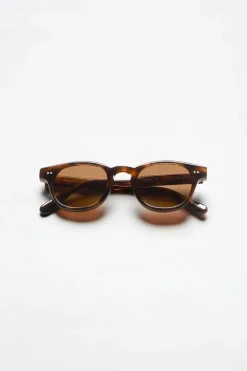 01 Tortoise