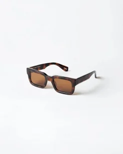 05 Tortoise