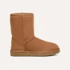 Women's Classic Short II Chestnut