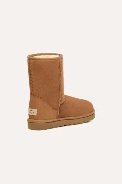 Women's Classic Short II Chestnut